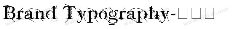 Brand Typography字体转换 Brand Typography字体转换